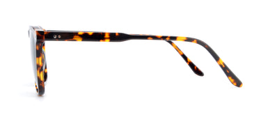 Men Insignia Sunglasses: Sinai - Tort - SpecSMART Eye Clinic (Side View)